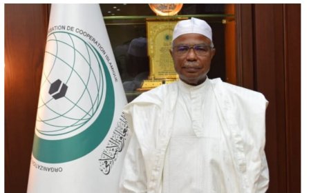 منظمة التعاون الإسلامي ترحب برفع العقوبات الأمريكية عن سوريا