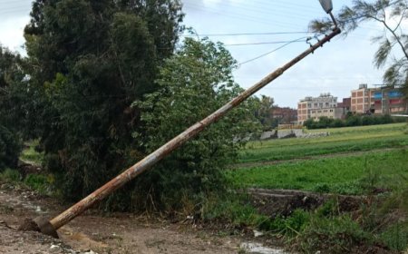 بسبب تسلق عمود كهرباء .. شخص يلقي مصرعة بقريه بدواي بالدقهلية
