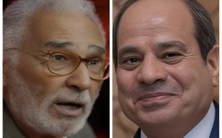 الرئيس عبد الفتاح السيسي يطمئن على الفنان عبدالرحمن أبو زهرة في اتصال هاتفي مؤثر