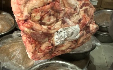 مديرية تموين الدقهلية تضبط 10 أطنان من اللحوم والدهون الفاسدة في مصنع بالمنصورة
