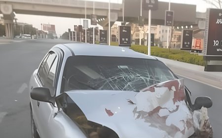 جنون السرعة يتسبب في كارثة بالقاهرة الجديدة.. سيارة تقتحم سور كمبوند وتصطدم بأتوبيس مدرسة