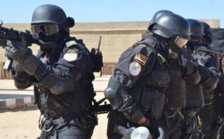 مصرع 3 مجرمين خطرين وضبط مخدرات وأسلحة بـ26 مليون جنيه في ضربات أمنية بالدقهلية وقنا