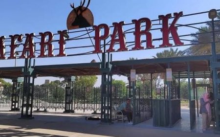 إغلاق سفاري بارك بالجيزة وفسخ عقد المستثمر بسبب المخالفات المالية والفنية