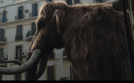 محمد الشريف يستعد لإطلاق «أوسكار عودة الماموث» صيف 2025