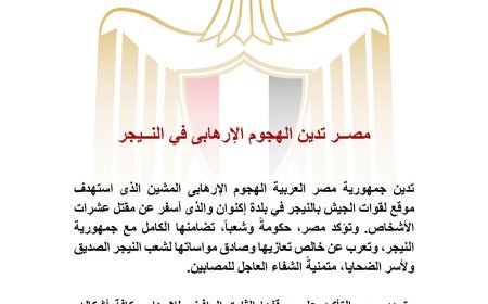 مصر تُدين الهجوم الإرهابي في النيجر وتؤكد تضامنها الكامل مع شعبها