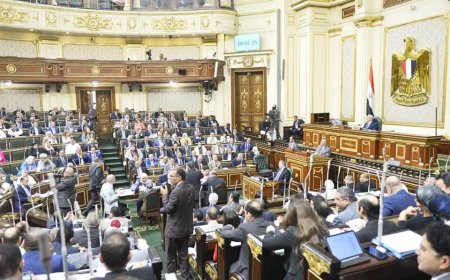 مجلس النواب يوافق على زيادة الحافز الإضافي للعاملين بالدولة