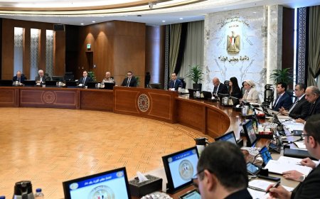 مجلس الوزراء يناقش إعداد خريطة استثمار شاملة بالتنسيق مع الوزارات