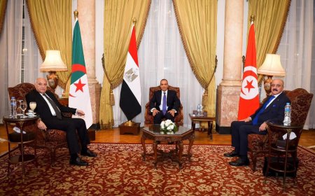 وزراء خارجية مصر وتونس والجزائر يجددون دعم الحل السياسي والاستقرار في ليبيا
