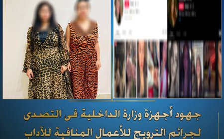 ضبط سيدتين بتهمة بث محتوى خادش للحياء عبر مواقع التواصل الاجتماعي