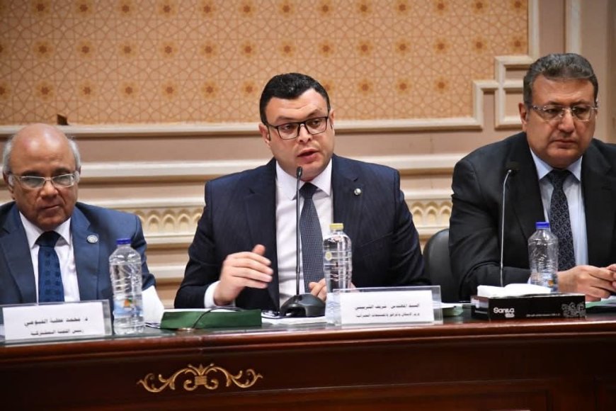 وزير الإسكان: مفيش خروج من الشقة قبل ما الدولة توفر مكان تاني.. وقانون الإيجار القديم بيحاول يرضي الملاك والمستأجرين