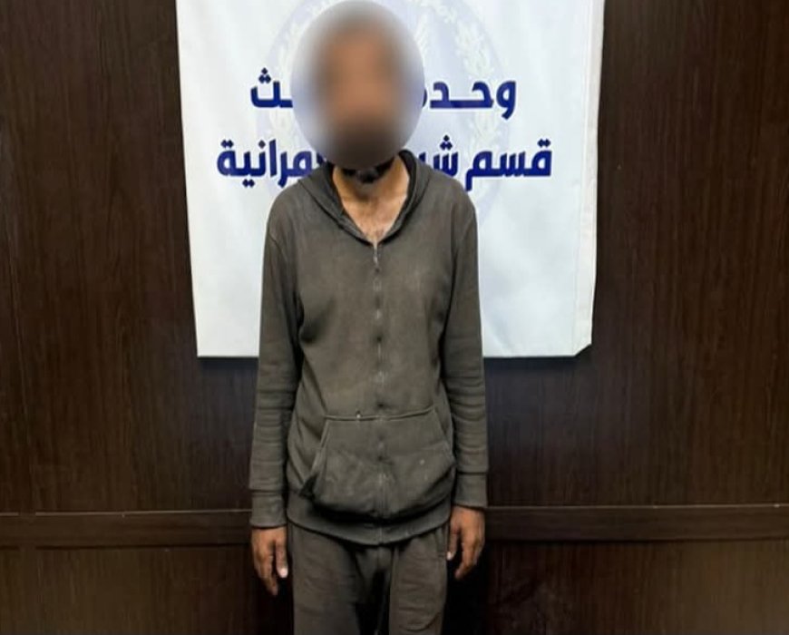 شاب غير متزن يربط 3 قطط في الشارع... وسيدة توثق الواقعة وتطالب بالرحمة: «حرام عليكم دي أرواح»