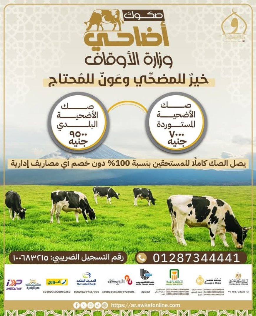 إنطلاق حملة صكوك الأضاحي 1446هـ.. والأوقاف تطرح البلدي بـ9500 والمستورد بـ7000 جنيه
