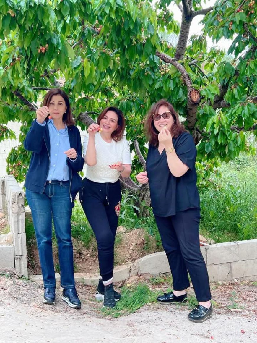 «مغامرة الكرز في إهدن».. إلهام شاهين وماجدة الرومي وكلوديا مارشيليان في لحظة «طفولة فنية»