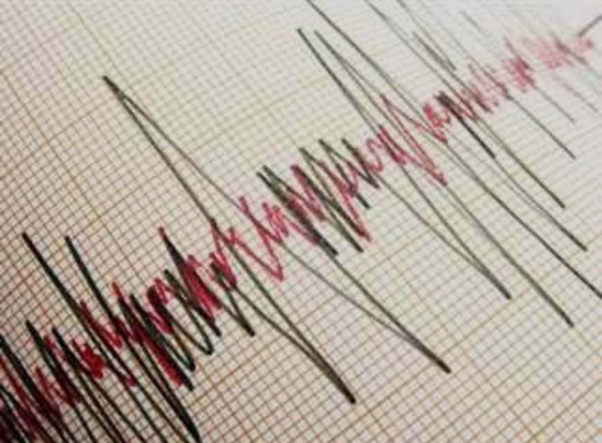 محافظة القاهرة تطمئن المواطنين بشأن الهزة الأرضية