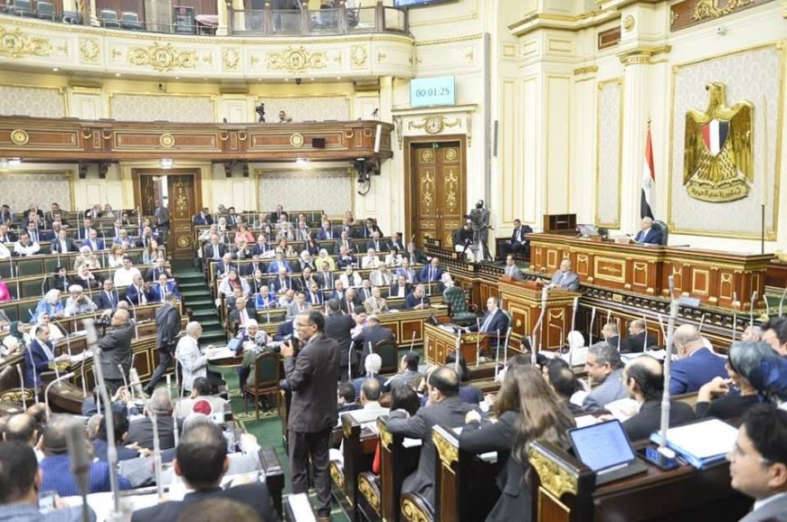 مجلس النواب يوافق على زيادة الحافز الإضافي للعاملين بالدولة