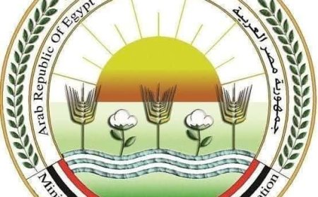 الزراعة ترفع الطوارئ وتتيح ذبح الأضاحي مجانًا بالمجازر خلال العيد