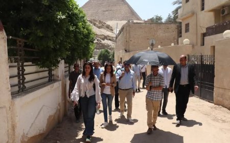 محافظة الجيزة تبدأ خطوات تنفيذ تطوير محور سقارة – سفنكس