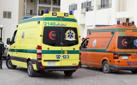 حادث دهس بمدينة السلام.. إصابة فتاة بكسور خطيرة بعد صدمها بسيارة ملاكي