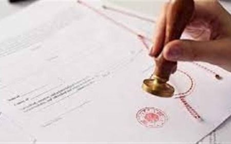 إحالة مديرة شركة جلوبال كير للمحاكمة بتهمة اختلاس 12 مليون جنيه وتزوير مستندات رسمية