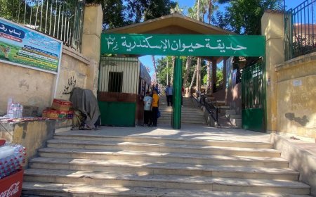 حدائق الحيوان الإقليمية وحديقة الأسماك تستقبل أكثر من 38 ألف زائر خلال أول يومين من عيد الأضحى