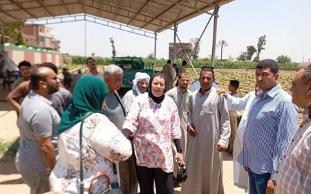 شبين القناطر تواجه التعديات خلال العيد حملات إزالة فورية رغم الإجازات