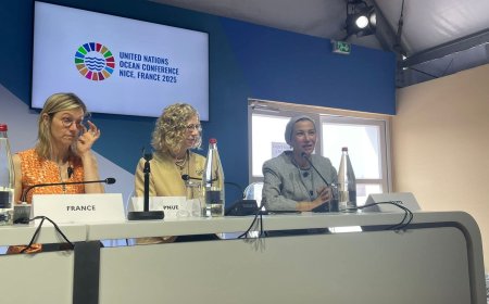 مصر تؤكد التزامها بحماية البحر المتوسط في مؤتمر الأمم المتحدة للمحيطات بنيس