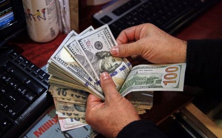 مصر ضمن العشرة الكبار عالميًا في تحويلات الخارج بـ22.7 مليار دولار