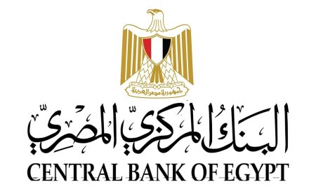تحويلات المصريين بالخارج تقفز إلى 29.4 مليار دولار في 10 أشهر.. قفزة غير مسبوقة بنسبة 77%