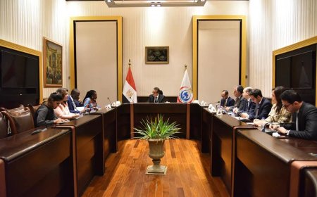في لقاء رفيع المستوى.. مصر تُعزز خطواتها نحو شراكة صحية إفريقية شاملة