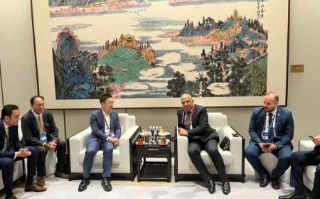 مباحثات مصرية صينية لتصنيع مكونات الطاقة المتجددة محليًا