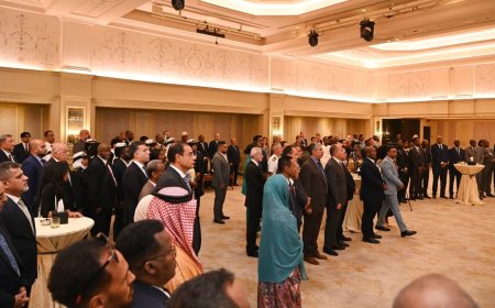 مصر تؤكد عمق علاقاتها الاستراتيجية مع جيبوتي