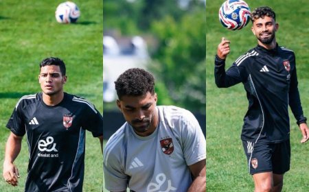 العش إلى الأهلي رسميًا.. وعبد الفتاح وأحمد رضا إلى زد ضمن صفقة تبادلية كبرى