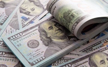سعر الدولار مقابل الجنيه المصري اليوم 28 يونيو