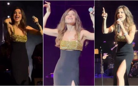 نانسي عجرم تشعل حماس جمهورها في حفل لندن