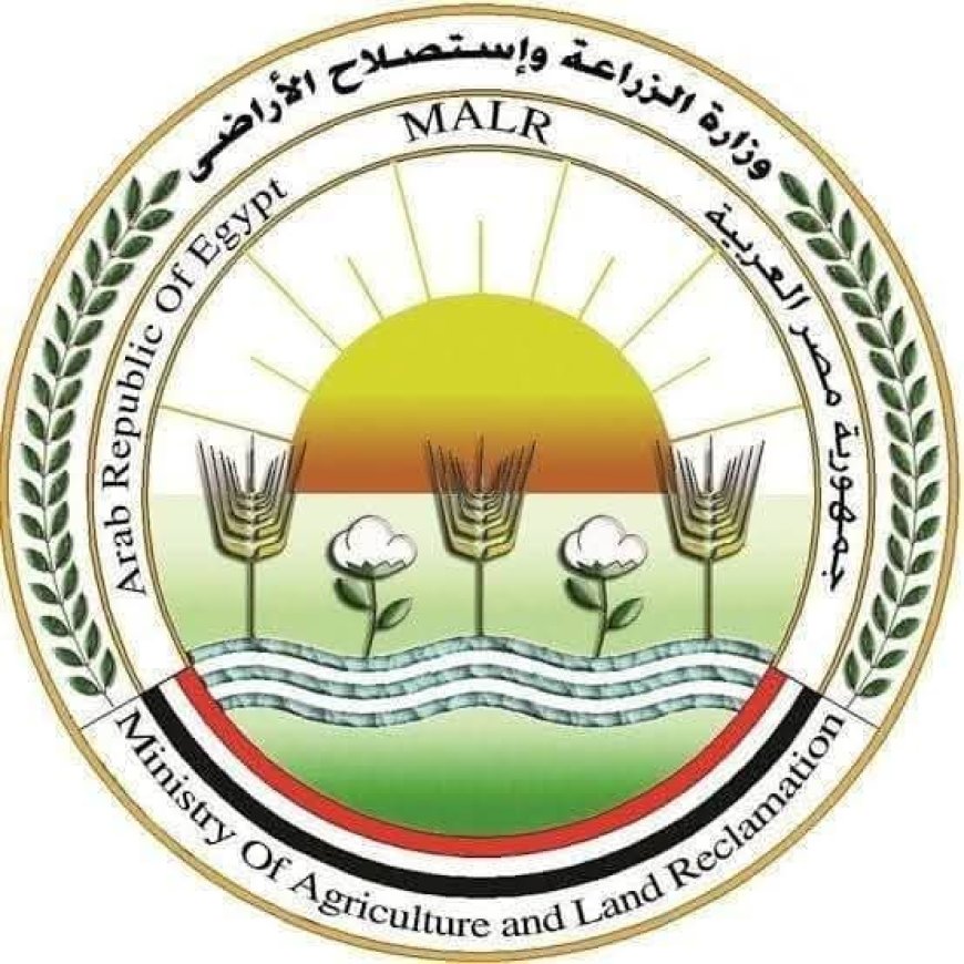 الزراعة ترفع الطوارئ وتتيح ذبح الأضاحي مجانًا بالمجازر خلال العيد