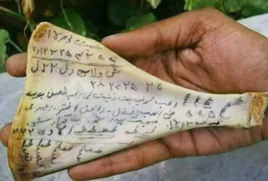 عظمة اللوح «تحذيرات من بيعها والسعر وصل لـ3 آلاف جنيه».. ومعالجون: تؤدي للموت البطيء
