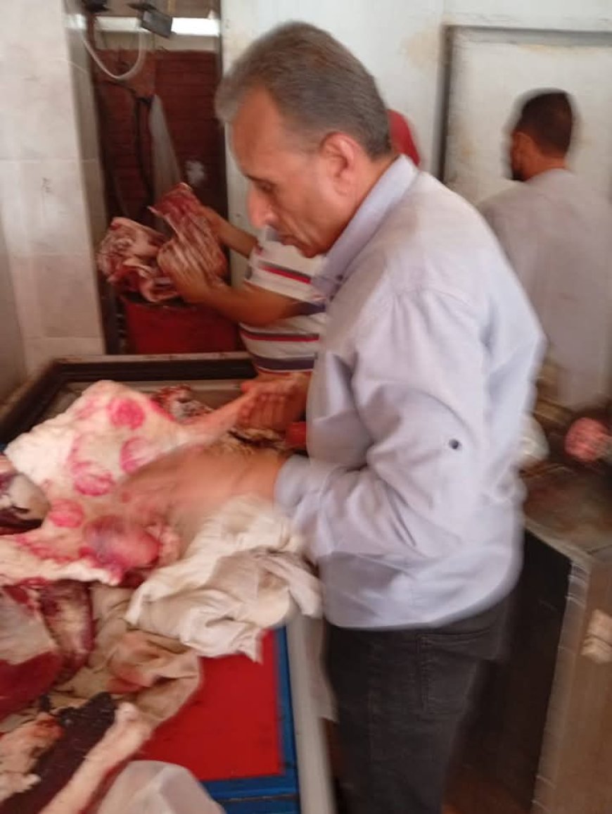 حملات رقابية تضبط أكثر من طن ونصف لحوم ودواجن غير صالحة بعدد من مراكز الدقهلية