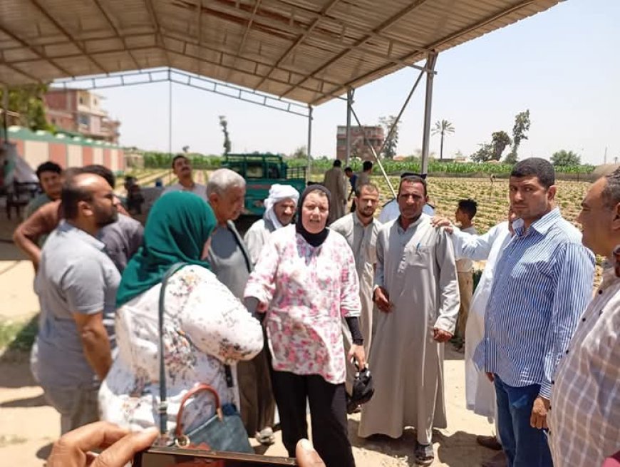 شبين القناطر تواجه التعديات خلال العيد حملات إزالة فورية رغم الإجازات