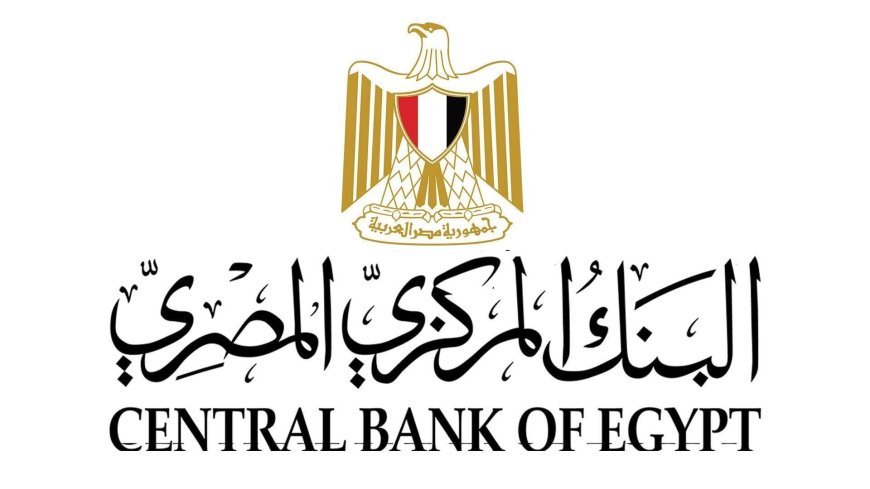 تحويلات المصريين بالخارج تقفز إلى 29.4 مليار دولار في 10 أشهر.. قفزة غير مسبوقة بنسبة 77%
