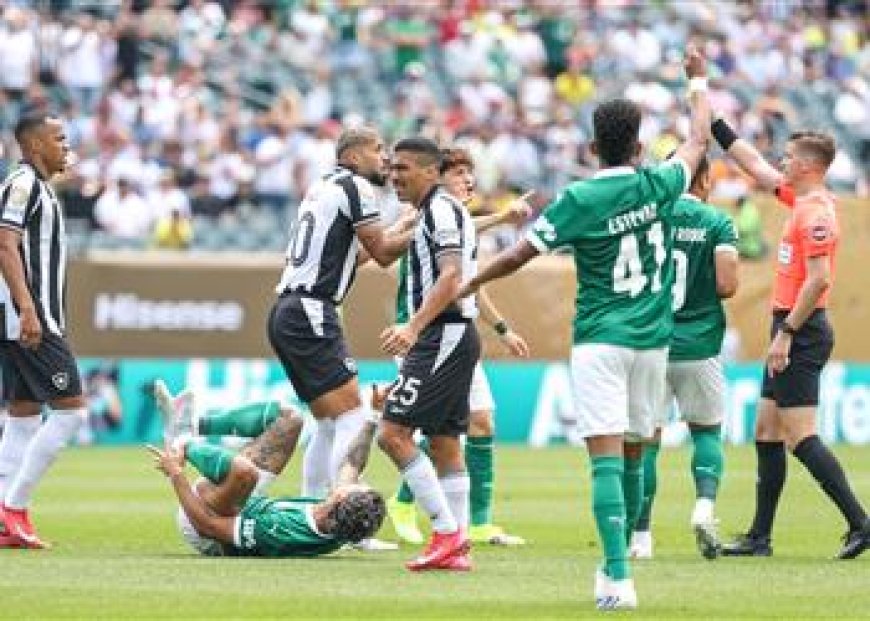 بالميراس يتأهل إلى ربع نهائي مونديال الأندية بعد الفوز على بوتافوجو