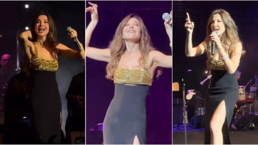 نانسي عجرم تشعل حماس جمهورها في حفل لندن