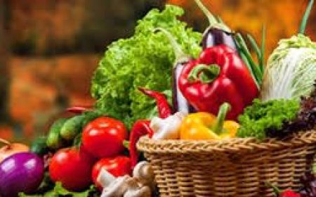 استقرار أسعار الخضروات والفواكه في مصر اليوم الجمعة 4 يوليو 2025