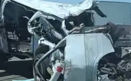 تحرك عاجل لمحافظ المنوفية إثر حادث طريق الإقليمي.. وتنسيق موسع لإنقاذ المصابين