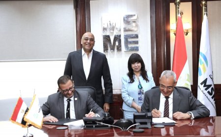 110 مليون جنيه تمويل جديد للصناعات الناشئة في مصر