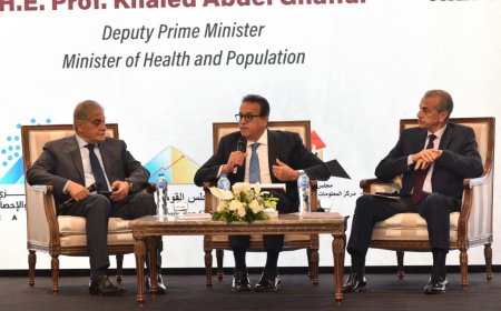 عبدالغفار: التمكين والتخطيط ركيزتان للتوازن السكاني المصري