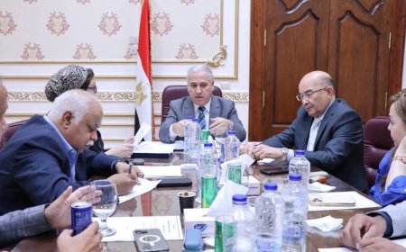 الوطنية للصحافة تعتمد قرارات جديدة.. تعيين 4 رؤساء تحرير واستمرار لجنة تطوير المحتوى