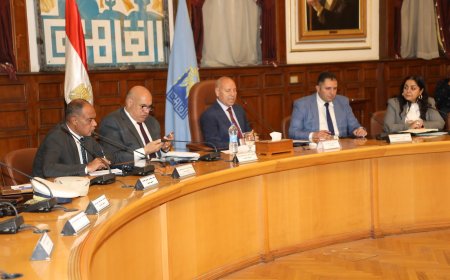 8.5 مليون ناخب بالقاهرة.. والمحافظة ترفع الطوارئ لانتخابات مجلس الشيوخ