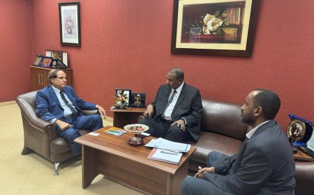 الأمين العام لرابطة الجامعات الإسلامية يبحث سبل التعاون مع وفد جامعة إفريقيا العالمية