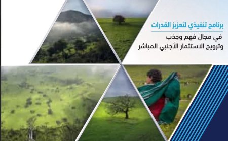 بمشاركة نخبة من الخبراء.. برنامج تنفيذي في صلالة لتعزيز التنافسية الاستثمارية بعُمان