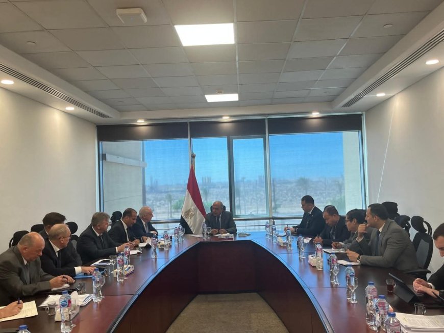 محطة الضبعة تدخل مرحلة الحسم.. «الكهرباء» و«روسآتوم» يستعرضان خطة التسليم وربط الشبكة